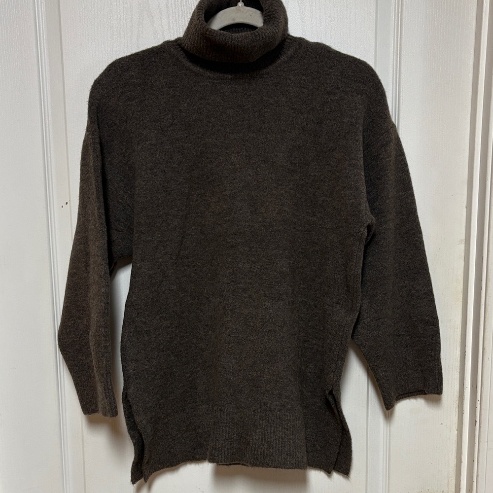 Zara Dark Brown Turtleneck Sweater